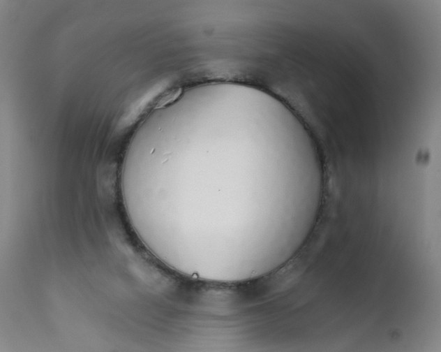 X0000111930066200908241126