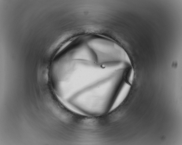 X0000111930067200908241126