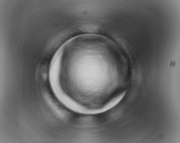 X0000111930069200908241126