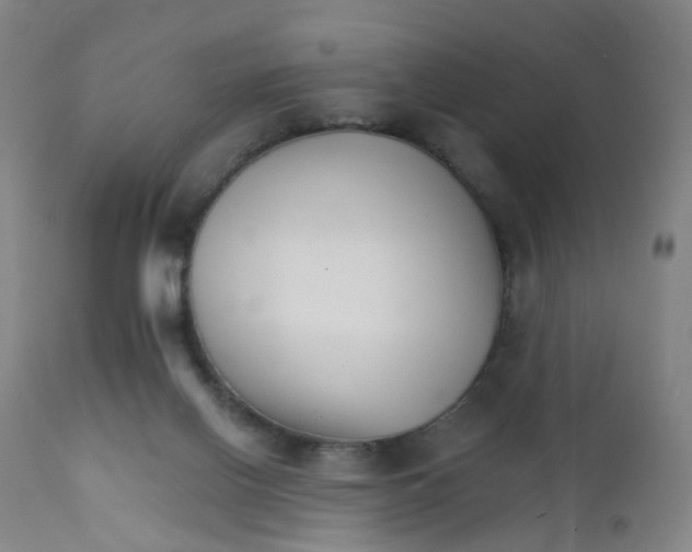 X0000111930070200908241126