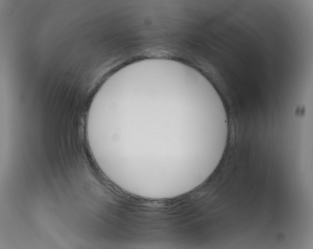 X0000111930071200908241126