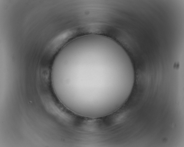 X0000111930072200908241126