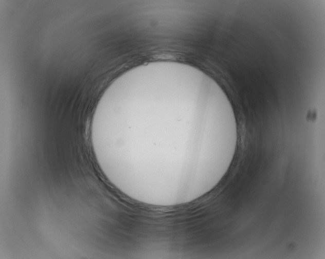 X0000111930075200908241126