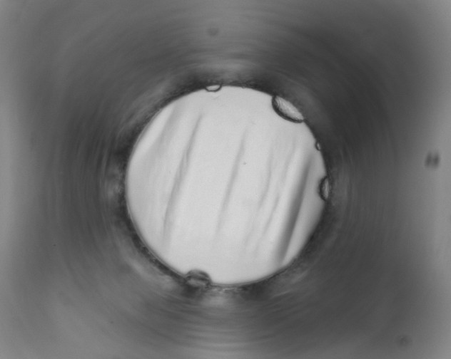 X0000111930077200908241126