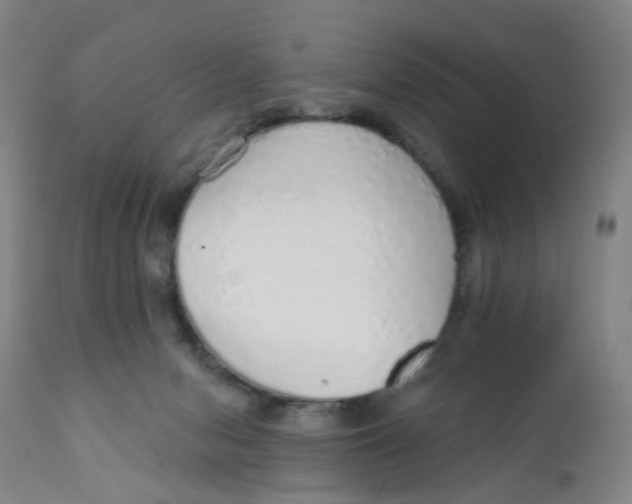 X0000111930078200908241126