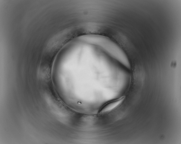 X0000111930079200908241126