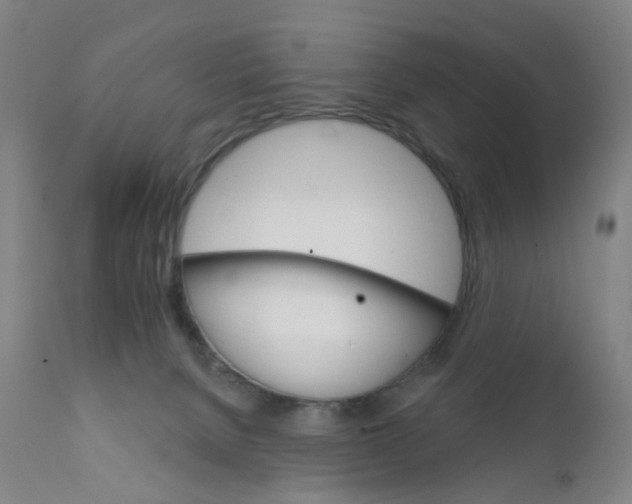 X0000111930080200908241126