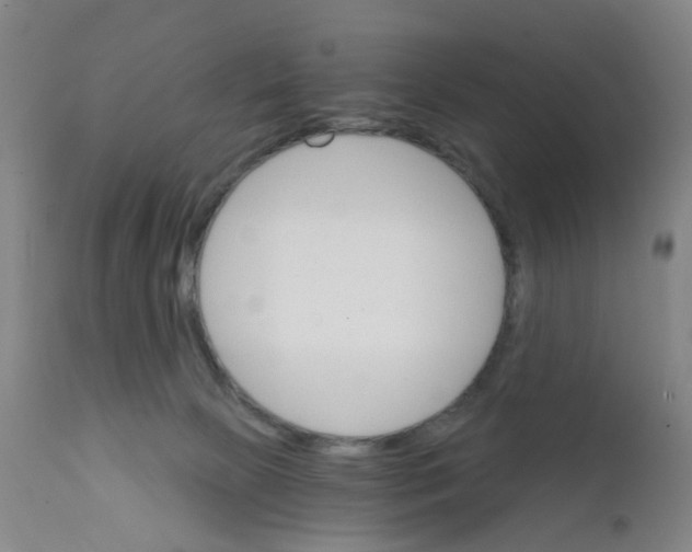 X0000111930081200908241126