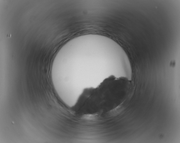 X0000111930082200908241126