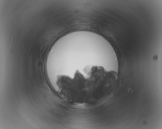 X0000111930083200908241126