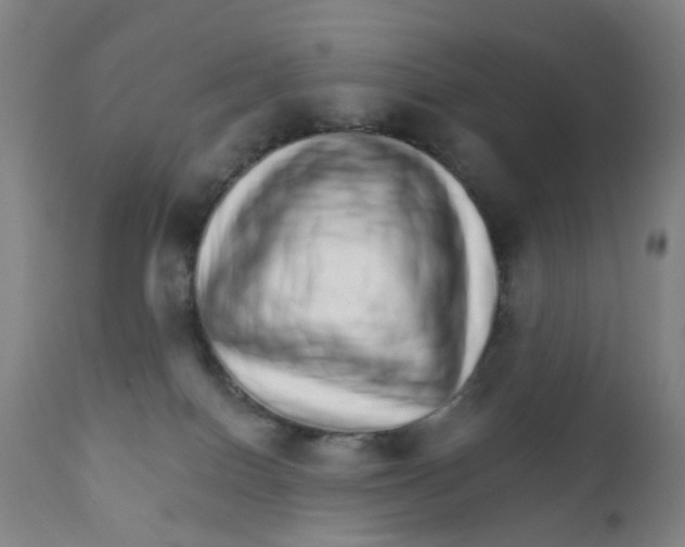 X0000111930086200908241126