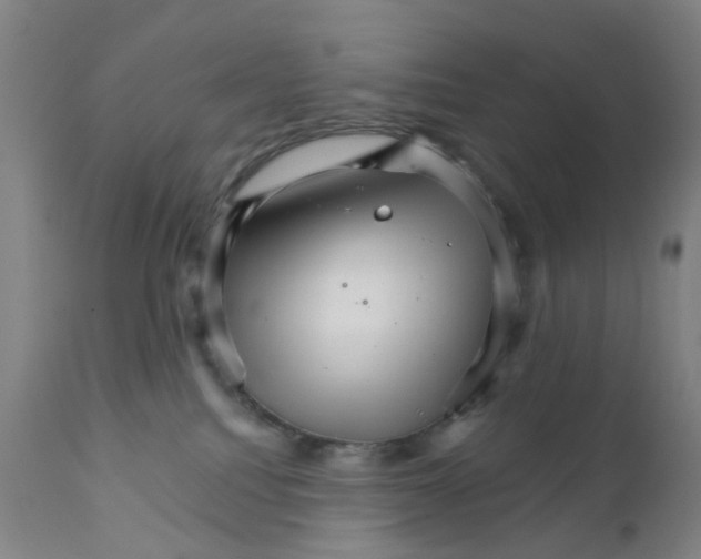 X0000111930088200908241126