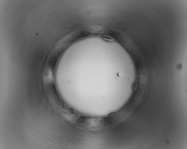 X0000111930089200908241126