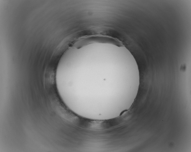 X0000111930090200908241126