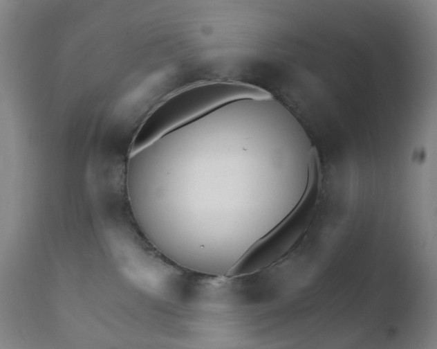 X0000111930092200908241126