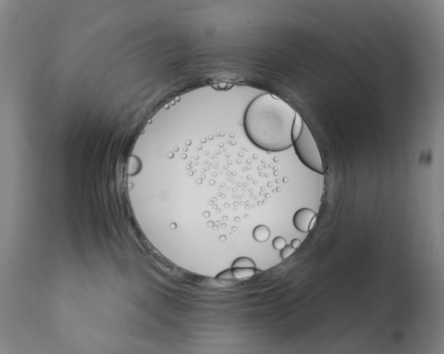 X0000111930093200908241126