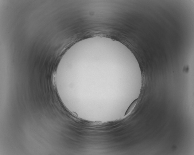 X0000111930094200908241126