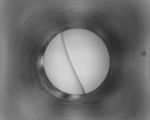 X0000111930095200908241126