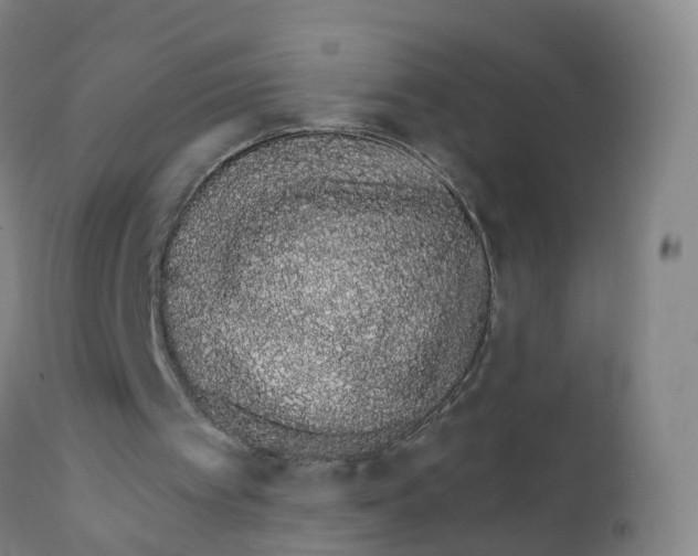 X0000111930097200908241125