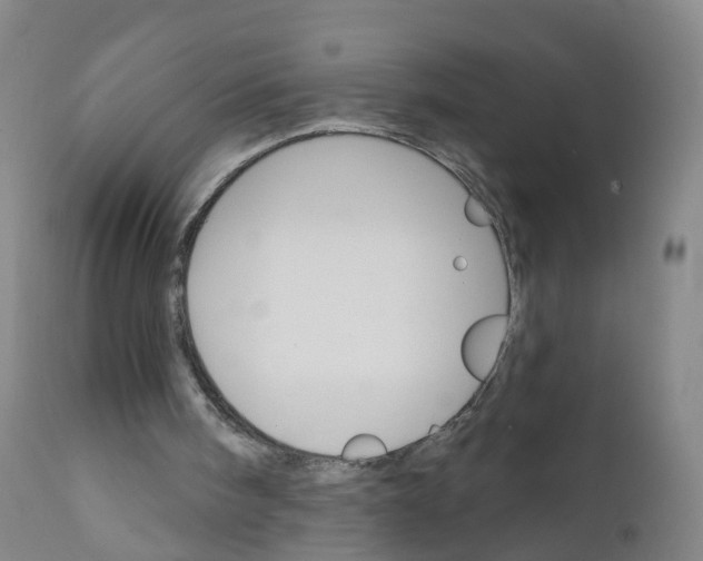 X0000111930098200908241125