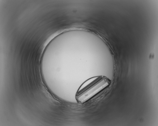 X0000111930100200908241125