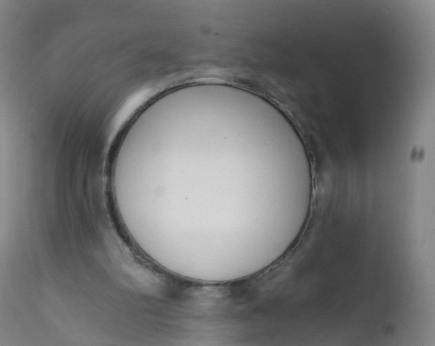 X0000111930102200908241125