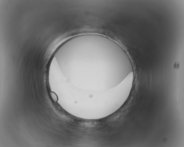 X0000111930103200908241125