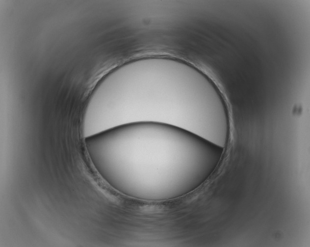 X0000111930105200908241125