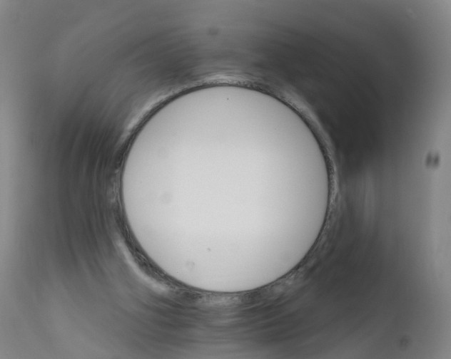 X0000111930106200908241125