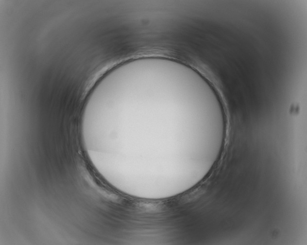 X0000111930107200908241125