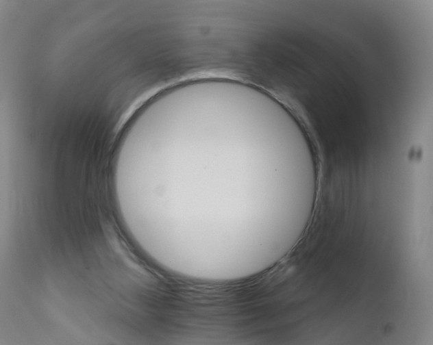 X0000111930108200908241125