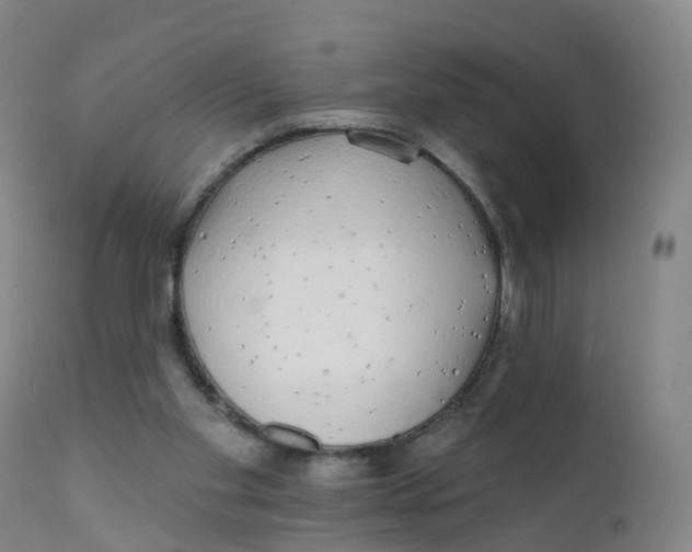 X0000111930109200908241125