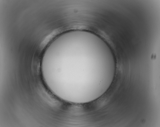 X0000111930110200908241125