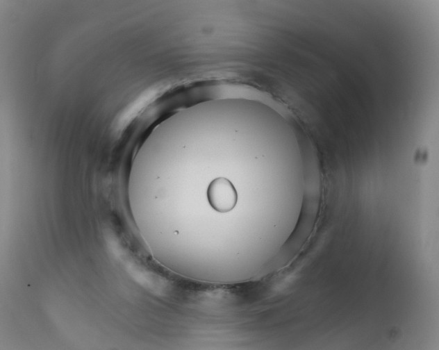 X0000111930112200908241125