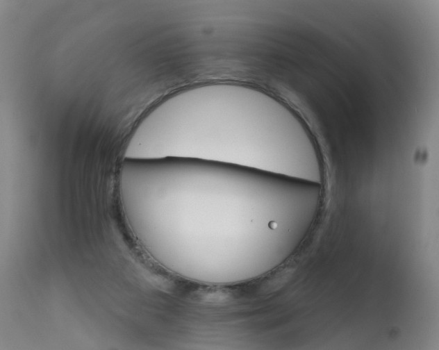 X0000111930113200908241125