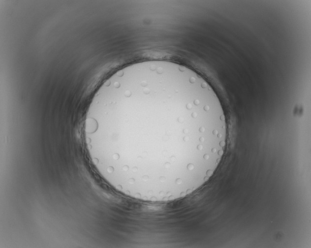 X0000111930114200908241125