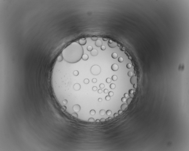 X0000111930115200908241125