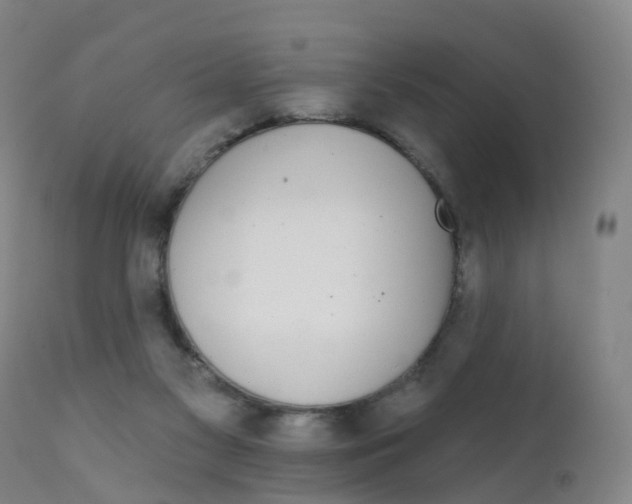 X0000111930117200908241125