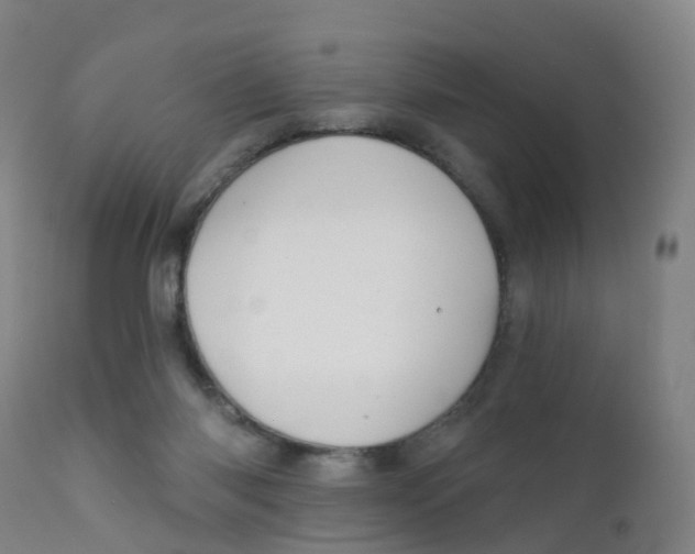 X0000111930118200908241125