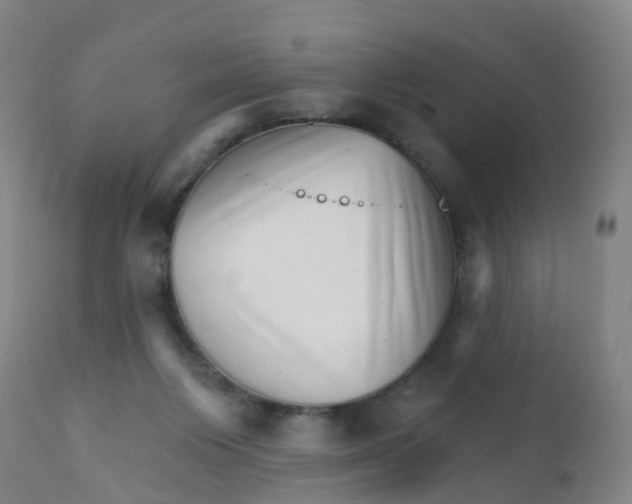 X0000111930119200908241125