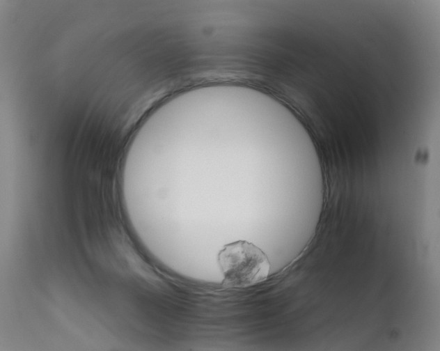 X0000111930120200908241125