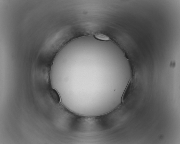 X0000111930121200908241125