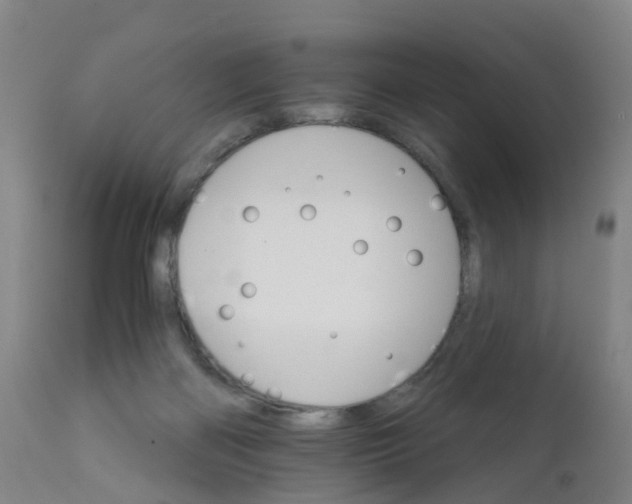 X0000111930122200908241125