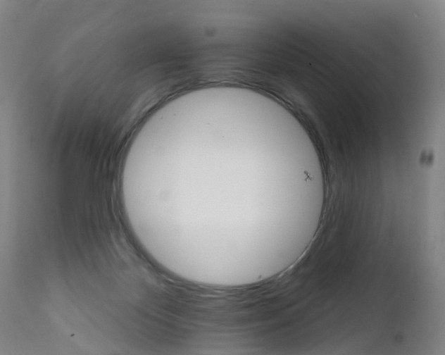 X0000111930124200908241125