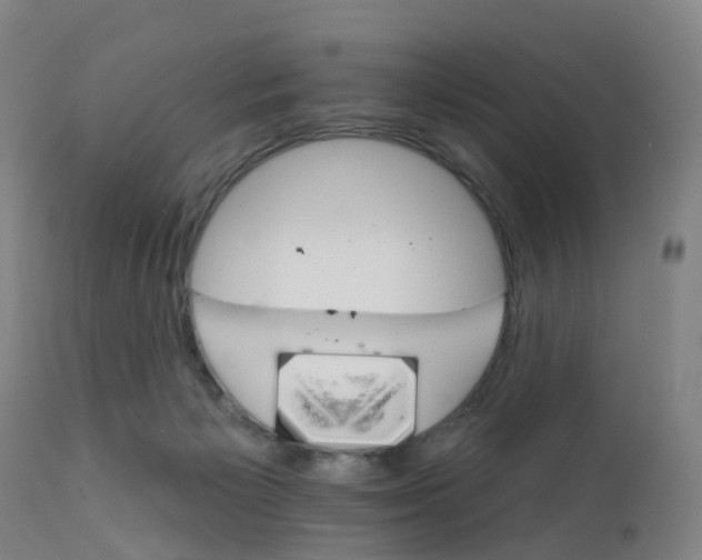 X0000111930125200908241125