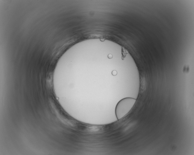 X0000111930126200908241125