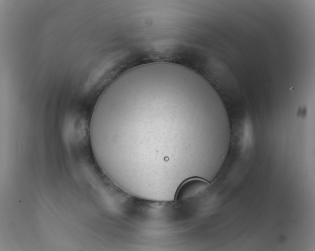 X0000111930130200908241125