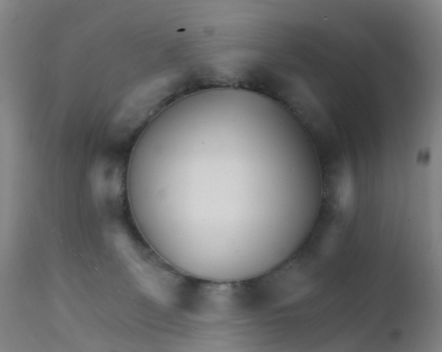 X0000111930131200908241125