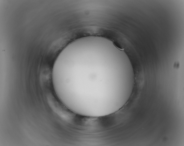 X0000111930132200908241125