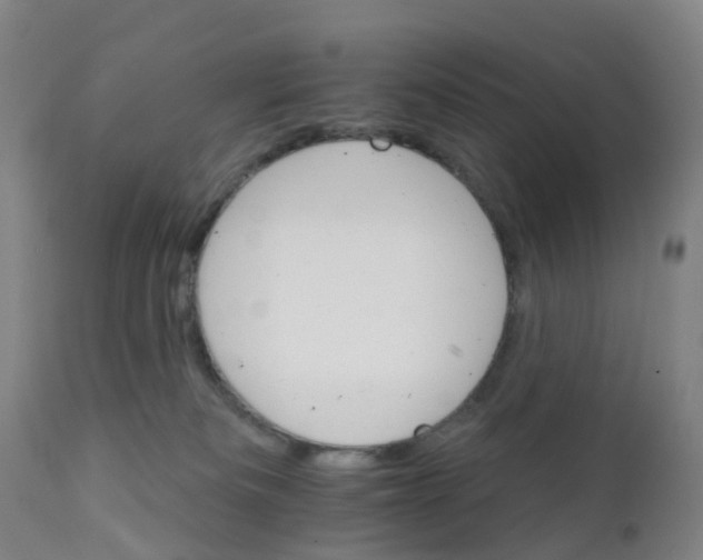 X0000111930133200908241125